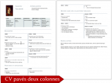 Screenshot for Curriculum Vitae (Resume, CV) pavé gris, deux colonnes et photo 