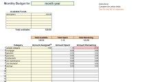Screenshot for Monthly Budget and Expense Record