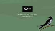 Screenshot for Bird Population and Ecosystem Conservation Report By InDiFi MKCL-KF