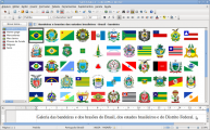 Screenshot for Flags of Brazilian States